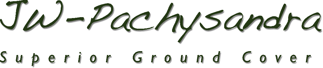 JW Pachysandra Logo